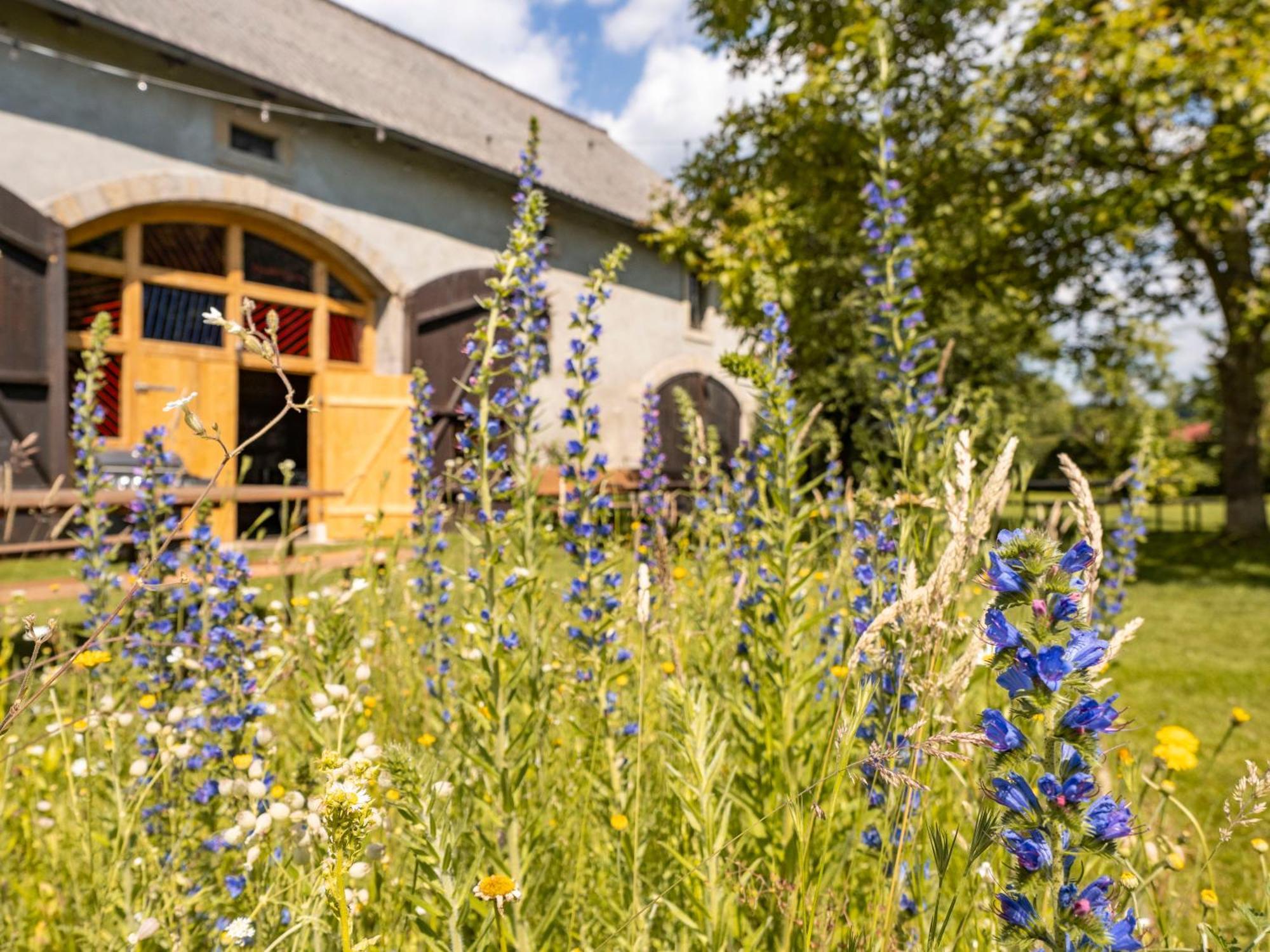 Hinterland Hostel Rathen Extérieur photo